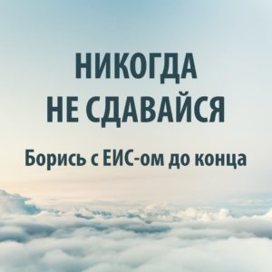 документы на ЕИС